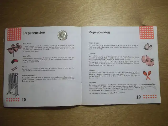 Mon passeport musical- in Children & Young Adult in City of Montréal - Image 7