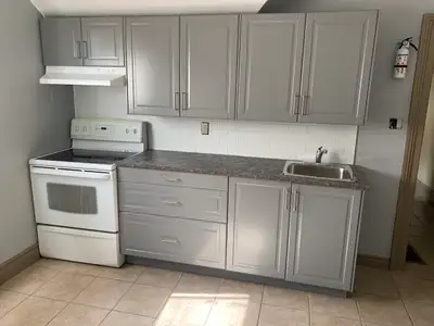 Looking for a responsible professional, adult, or student for this apt. which has had recent upgrade...