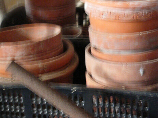 Clay Flower Pots in Plants, Fertilizer & Soil in Markham / York Region - Image 2