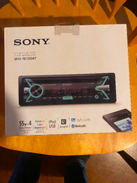 Car stereo:  Sony MEX-N5100BT. 55w x 4