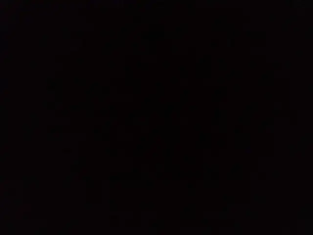 taking unwanted small animals  in Livestock in Annapolis Valley - Image 2