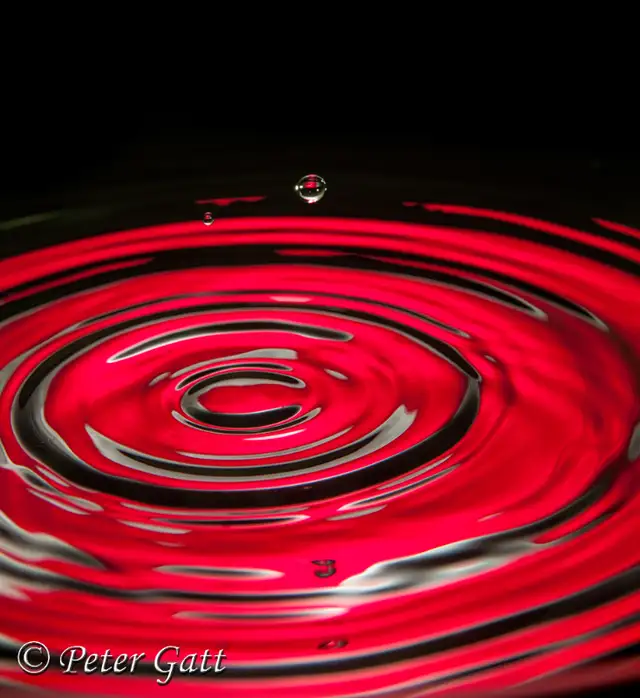 LIVE Interactive Photography Courses (Online)64551245062273121