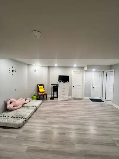 2 Bedroom Basement Apartment with 1 parking for rent from Sep 1st. 2 Bedrooms ,1 large washroom, lar...
