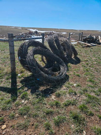 Barbed Wire and Fence Posts