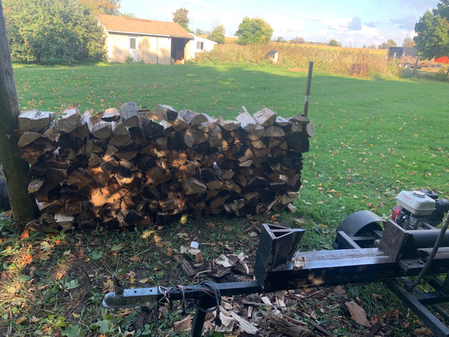 Firewood  in Other in Hamilton