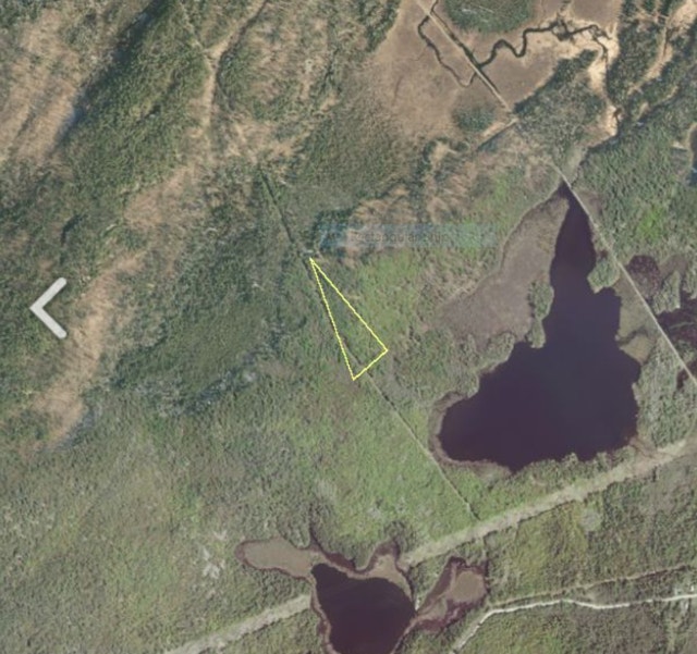 Five acres of forest land Land for Sale Ottawa Kijiji