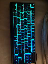 Steelseries Keyboard, Gaming, RGB