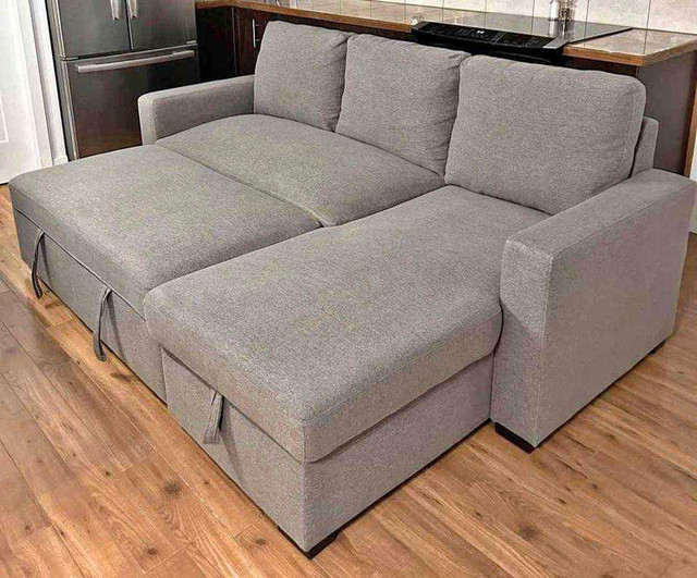 Sofa Bed with Storage in Couches & Futons in Ottawa