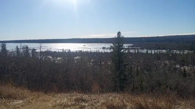 looking for a room in a basement 600-700$