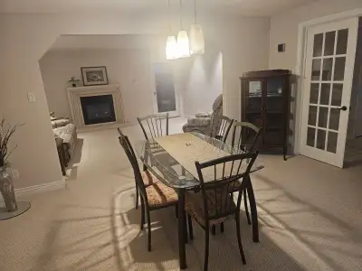 Luxury one bedroom apt basement fireplace separate entrance furnished or unfirnished 1200 sq ft. Bri...