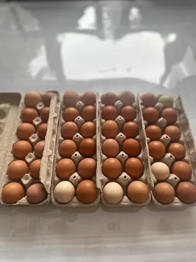 Eggs for sale, View more