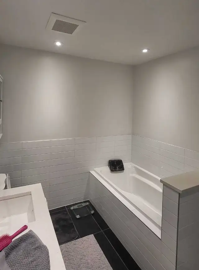 Professional Painter – Clean and Guaranteed Work64840203426435123