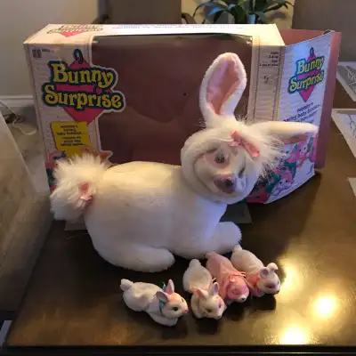 Bunny Surprise, View more