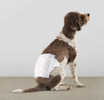 Amazon Basics Male Dog Wrap, Disposable Diapers, Large - Pack of 30 Price: $26.40 https://www.amazon...