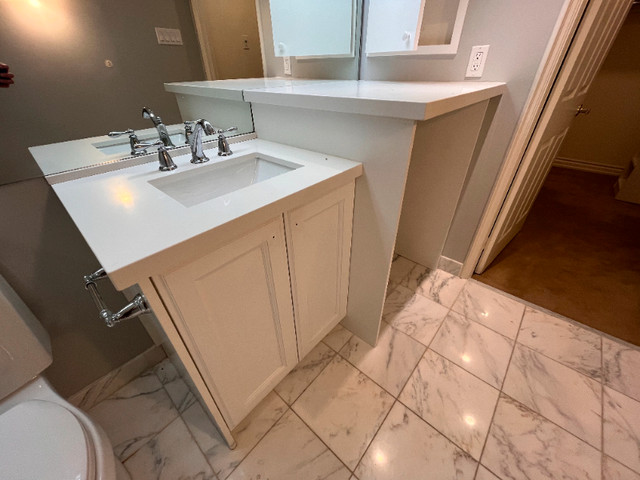 Bathroom Vanity and Counter with Granite Counters & Moen Faucet in Cabinets & Countertops in City of Toronto