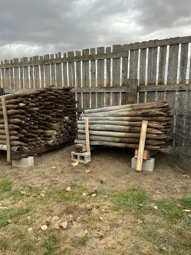Livestock & Fence Posts in Other in Saskatoon - Image 14