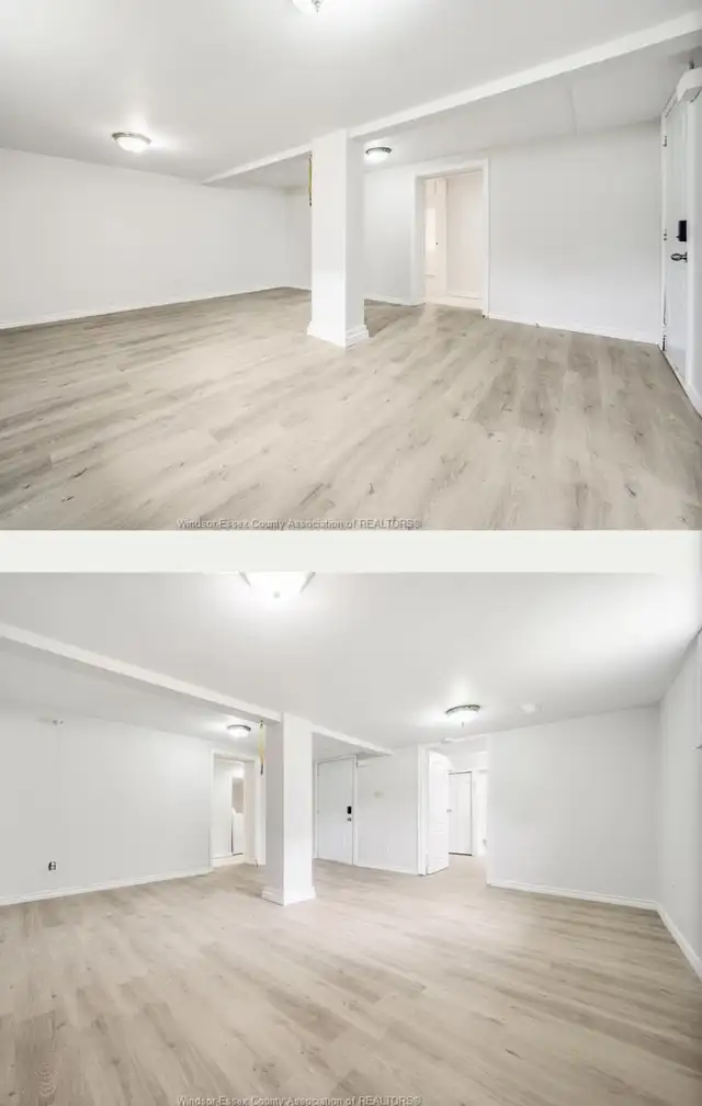 painter for hire 64733716771073122