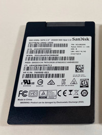 SanDisk 256GB SSD