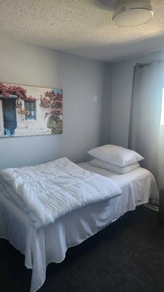 Room for Rent!!! in Room Rentals & Roommates in Ottawa - Image 4