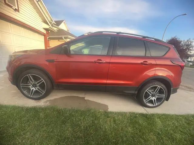 2019 AWD Ford Escape SEL