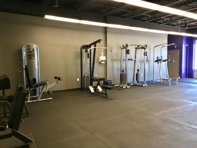 Semi-Private Gym Space Exclusively for Personal Trainers – $10 in Fitness & Personal Trainer in Oakville / Halton Region - Image 3