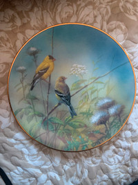 Collector vintage plate