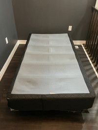 Free bed frame and box spring. 
