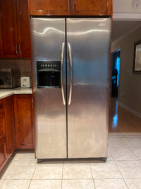 Frigidaire Electrolux Professional Series stainless steel fridge
