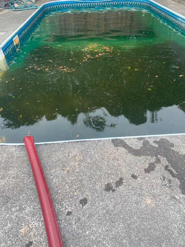Verre de filtration Piscine  Hors terre, Creuseé dans Spas et piscines  à Ville de Montréal - Image 4