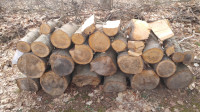 Spruce Wood for Bonfire