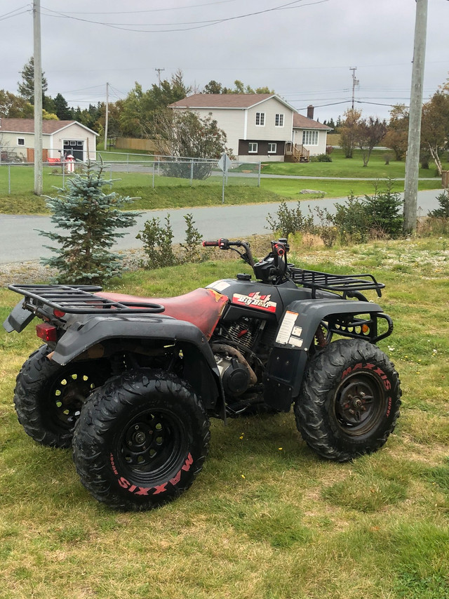 will silverback tires fit yamaha big bear
