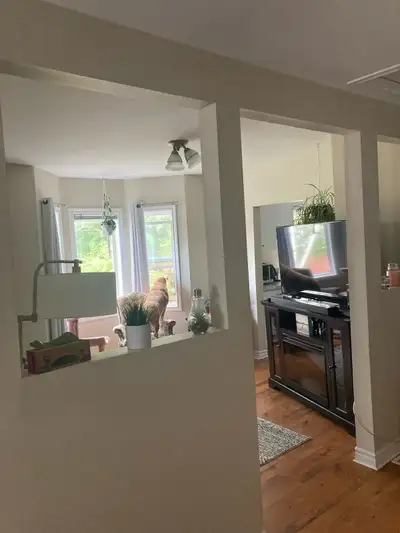 pictures of the unit
