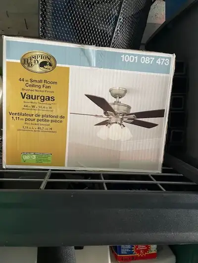 Ceiling fan with light