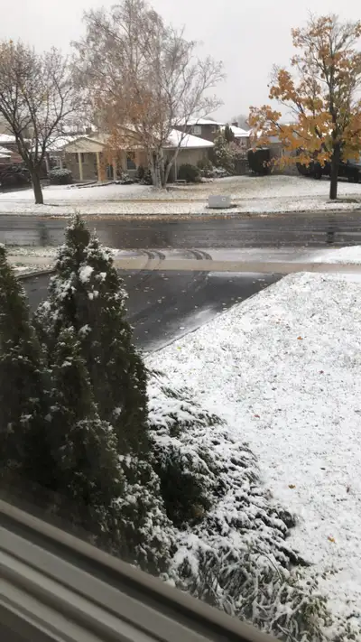 Looking for carpenter or helper or labour, View more