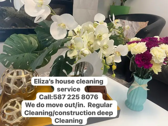 Eliza’s house cleaning service 