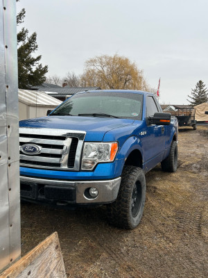 2010 Ford F 150