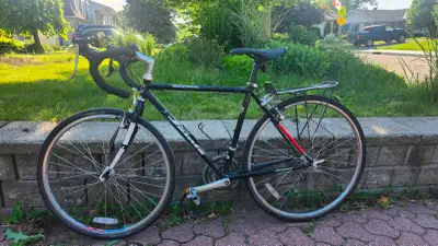 47cm (18.5") Jamis 16 speed road bike, View more