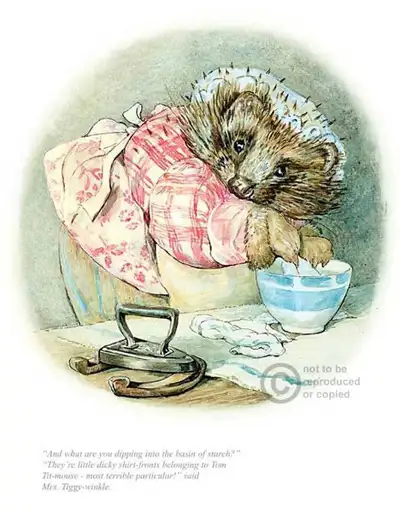 Hello! I am a professional in my 30s looking for a female hedgehog in Edmonton. I have concerns from...