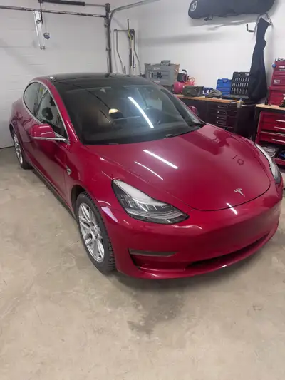 For private sale-2019 Tesla Model 3 Standard Range Plus with warranty til May of next year, or 160k...