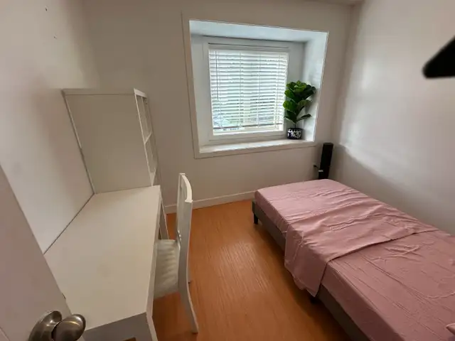 Room For Female Student or Single Professional in Room Rentals & Roommates in Burnaby/New Westminster - Image 4