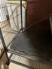 Ferret Nation cage