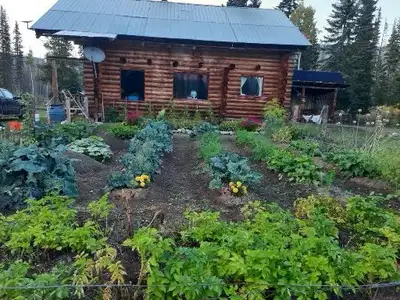 Price Reduced. Beautiful log home, built in 1985 in the middle of Omenica Provincial Park. Near the...