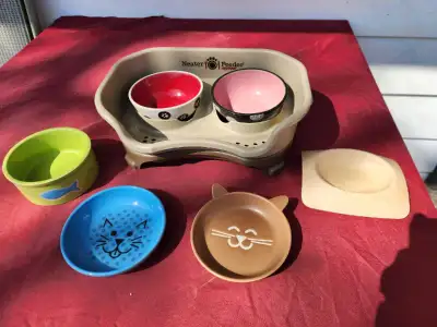 Pet Bowls, View more