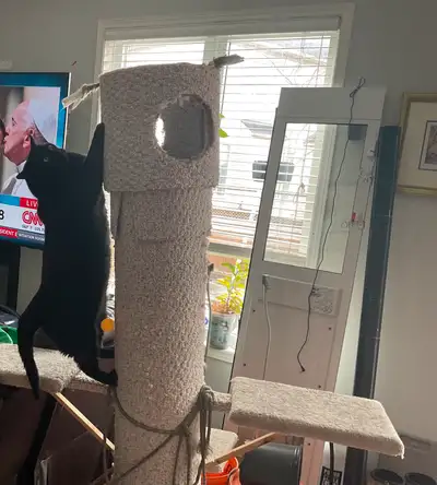 7 Foot Tall Cat Scratching and Climbing Aparatus / Post - structure was home made - cat loves it - c...
