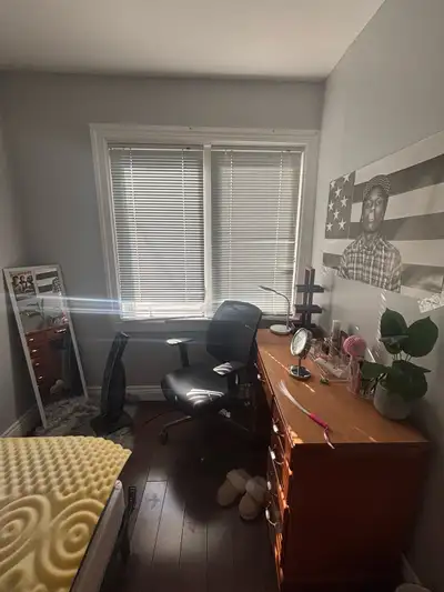 4-month sublet near McMaster