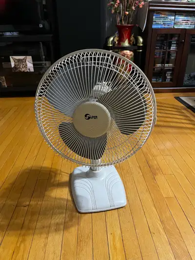 Home Electric Fan, View more