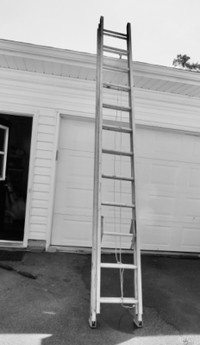 Heavy Duty 20 ft. Ladder, which can handle most jobs.