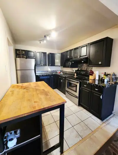 Room for rent with private bathroom in a three bedroom apartment. Includes all the amenities and clo...