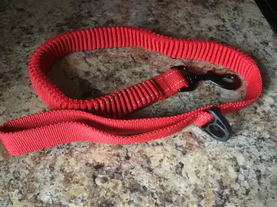 laisse élastique pour chien, View more