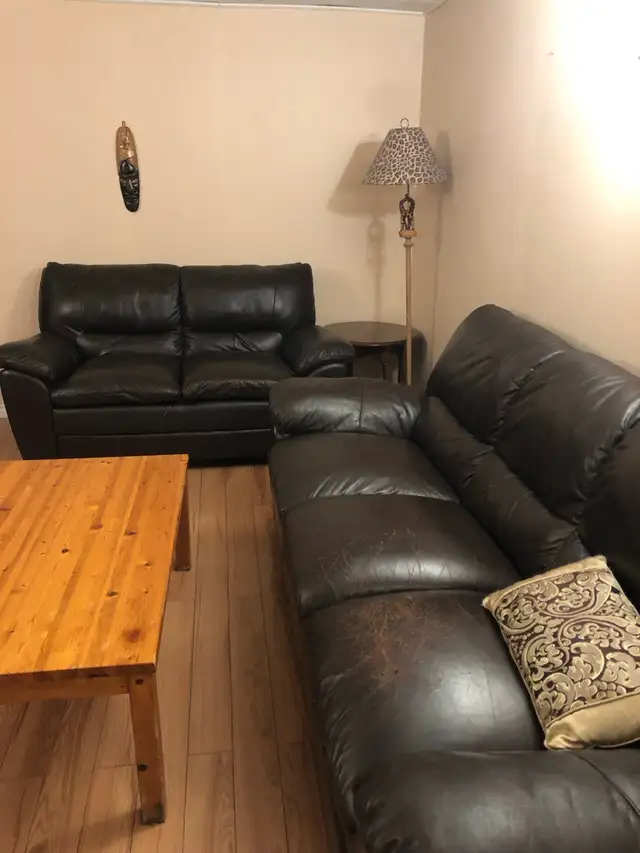 Furnished basement suite available November 63849107426819121